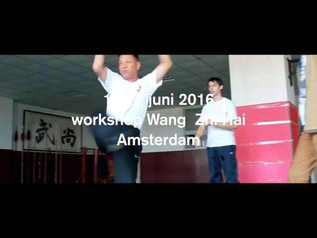 wangzhihai promo liuhemen kungfuschool