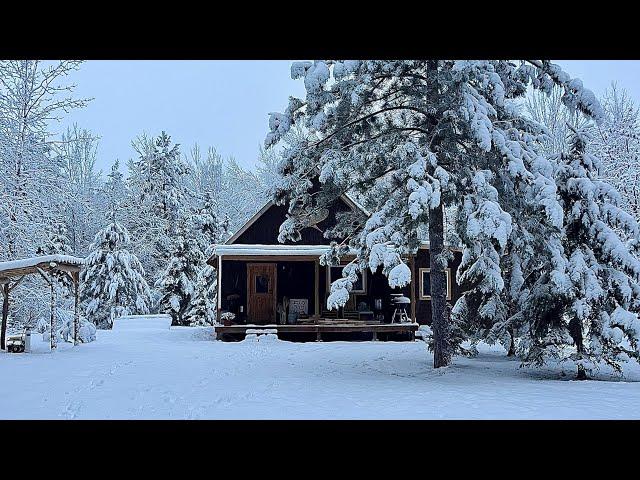 Snowstorm And -30F Windchills At Our Northern Minnesota Homestead