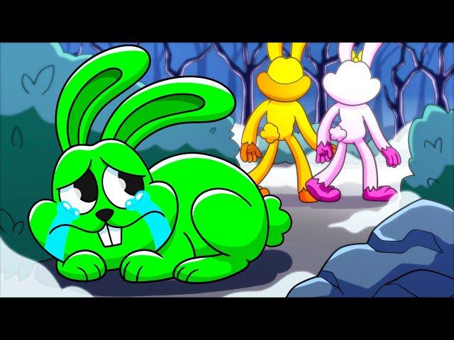 HOPPY HOPSCOTCH: ABANDONED AT BIRTH... (Cartoon Animation)