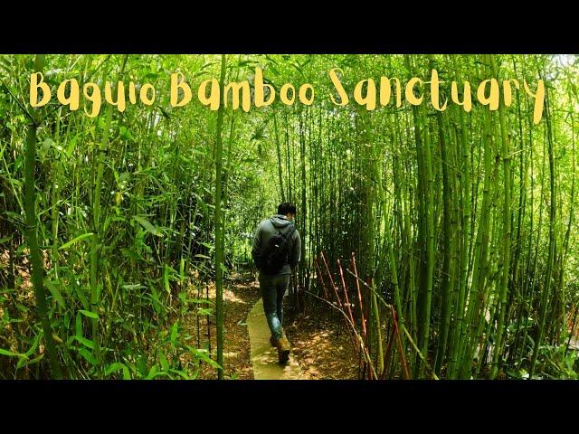 BAMBOO SANCTUARY - Tourist Spots in Baguio City