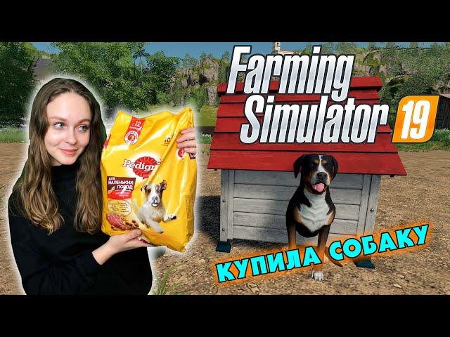 THE FIRST ANIMALS - Farming Simulator 19 MY FIRST CHICKENS