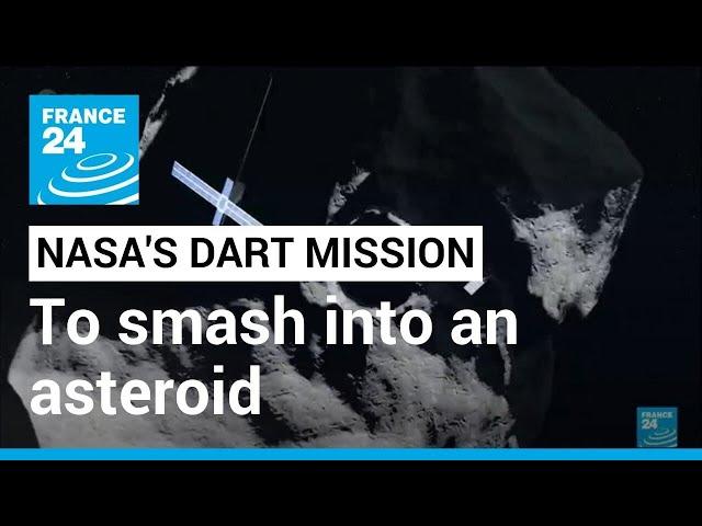 DART mission: NASA gears up to deflect asteroid • FRANCE 24 English