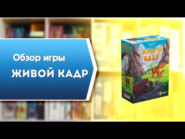 ЖИВОЙ КАДР. Обзор и правила настольной игры от Эврикус