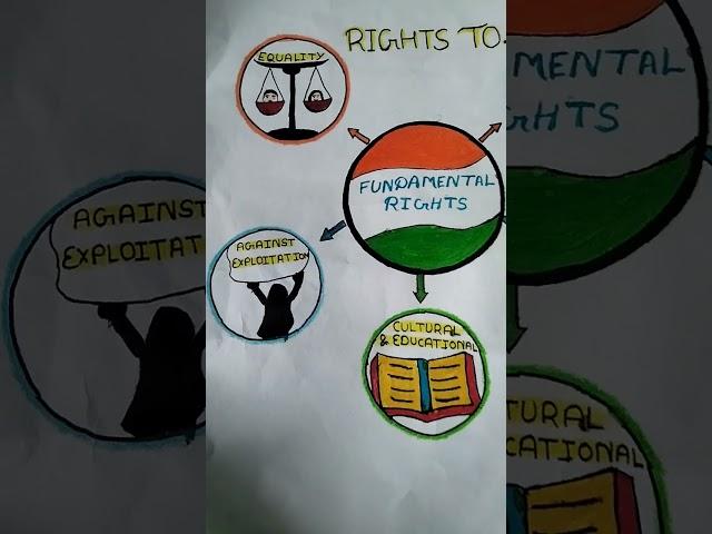 five fundamental rights #drawing