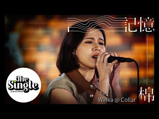 The Single《記憶棉》Winka 陳泳伽 @COLLAR