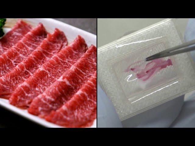 Would You Eat 3D-Printed Meat?