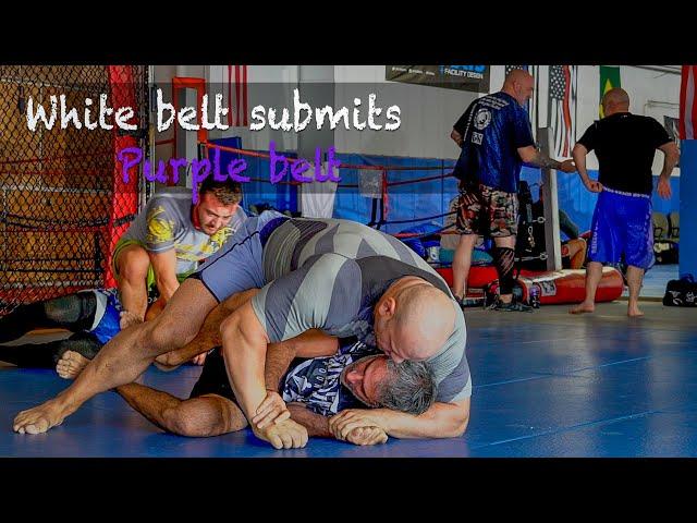 Purple belt submitted by white belt!