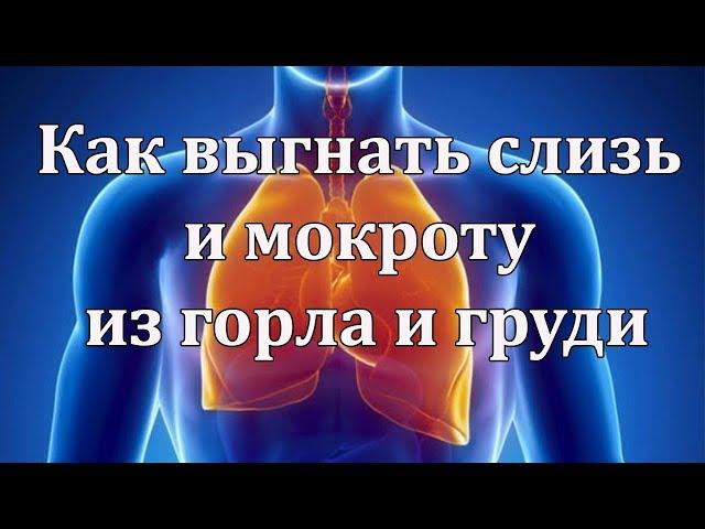 Как выгнать слизь и мокроту из горла и груди? Как выгнать слизь и мокроту доступными средствами?