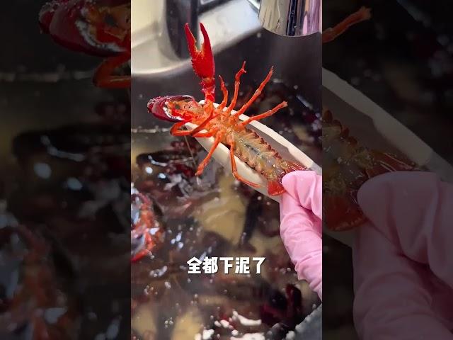 旧牙刷都用不上，就这么水灵灵地把小龙虾洗干净了！ #小龙虾 #小龙虾处理技巧 #宝藏生活家企划  #抖音家速计划
