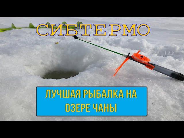 ЛУЧШАЯ ЗИМНЯЯ РЫБАЛКА НА ОЗЕРЕ ЧАНЫ ЗА СЕЗОН! ВЕСНА (МАРТ) 2019! РЫБАЛКА С НОЧЕВКОЙ С КОМФОРТОМ!