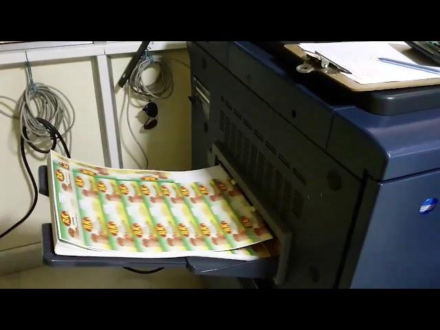 Product Stickers Printing - PrinTarzan