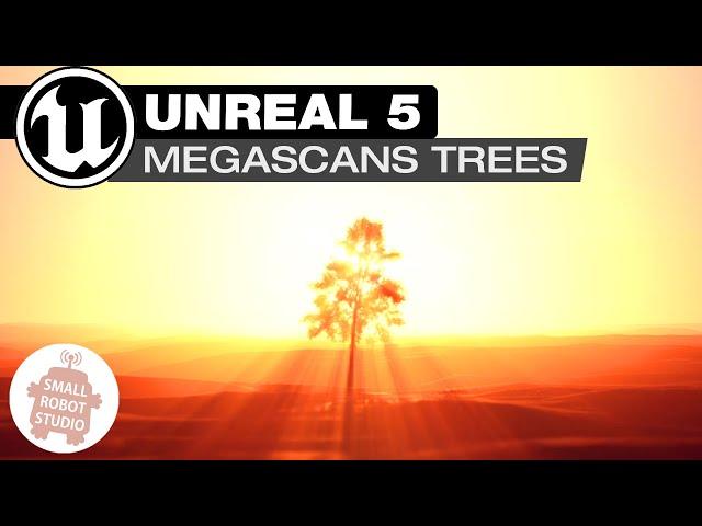 Unreal 5 Importing Megascans Trees Tutorial