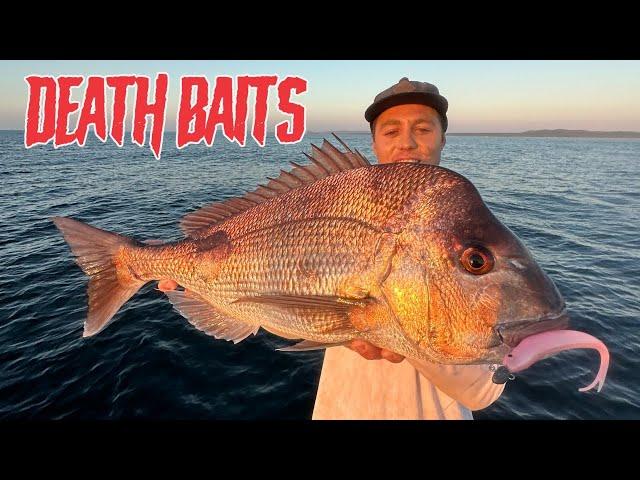 SNAPPER FISHING ON SOFT PLASTICS