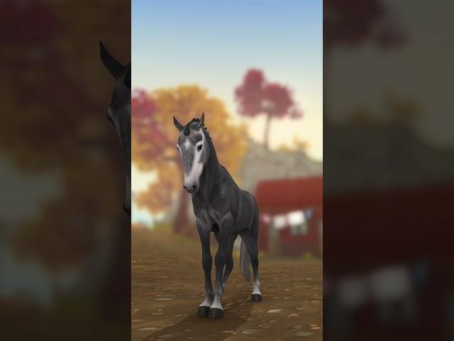 My horses can sing #horses #starstable