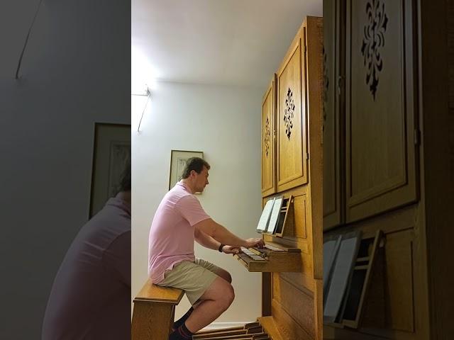 Oleksandr Fedorchenko: "Arioso" by Johann Sebastian  Bach