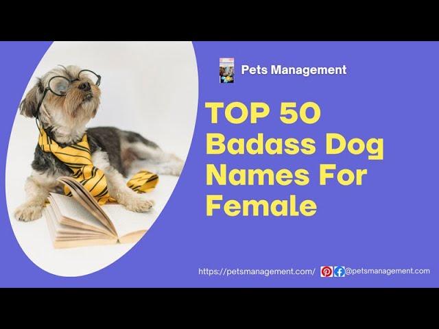 Top 50 Badass Dog Names For Female