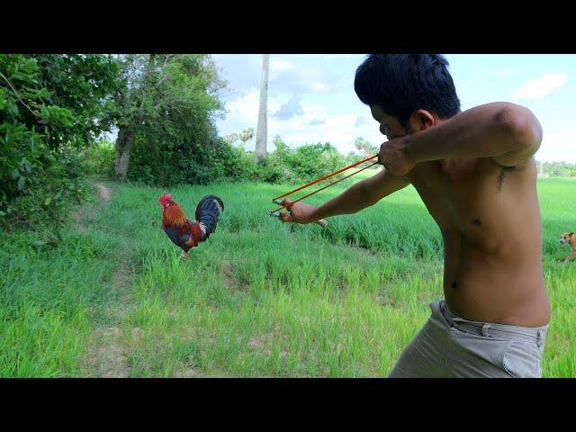 Hunting Wild Chicken then Cooking Two Chicken in Forest