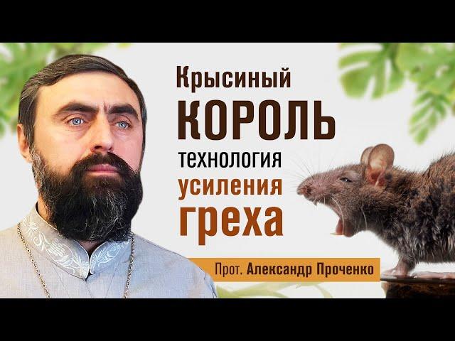 Крысиный король - технология усиления греха (прот. Александр Проченко) @r_i_s