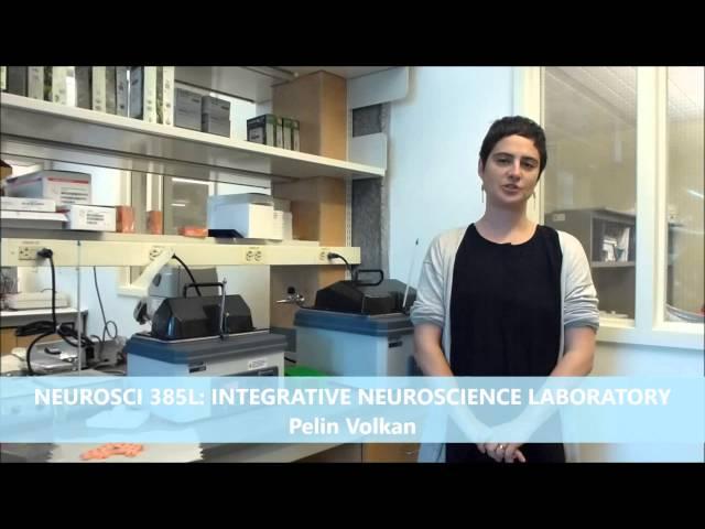 NEUROSCI 385L: Integrative Neuroscience Laboratory - Spring 2016