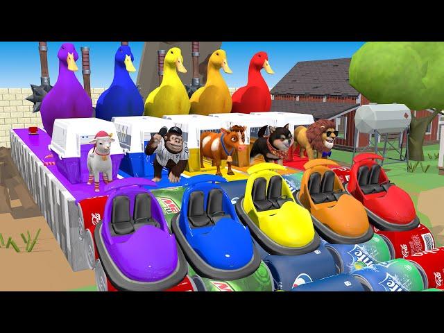 5 Giant Duck Cartoon,Cow,Lion,Tiger,Elephant,Monkey Paint Wild Animals Crossing Fountain Animation