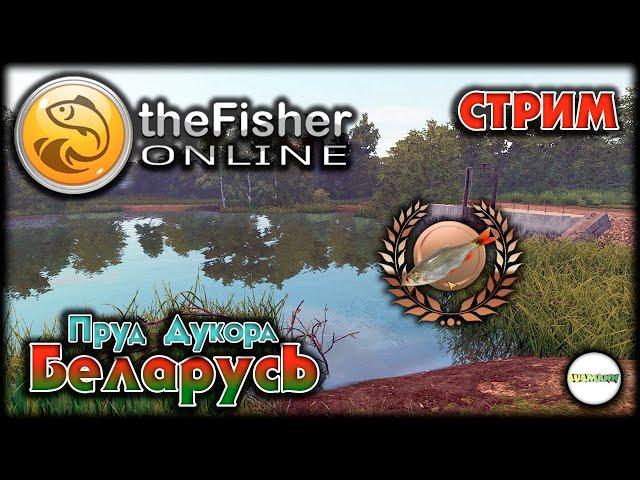 FISHER ONLINE - БЕЛАРУСЬ: ПРУД ДУКОРА. СПЕЦ ПО КРАСНОПЕРКЕ. СТРИМ. #19