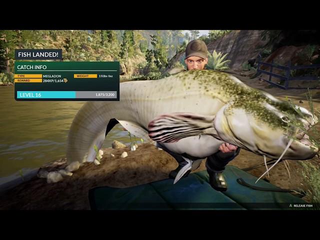 Euro Fishing Landing Megladon 151lb catfish