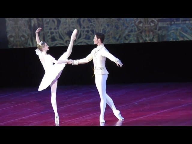 2018 Anna Nikulina & Jacopo Tissi Sleeping Beauty PDD