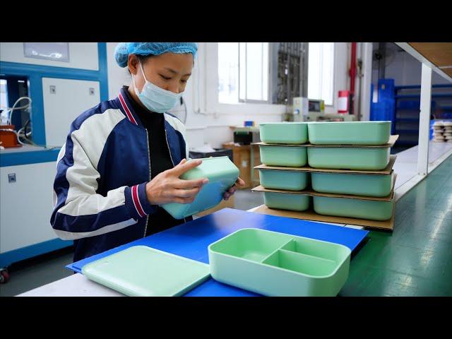 Wheat Straw Plastic Lunch Box Manufacturing Process. Plastic Injection Molding Factory in China