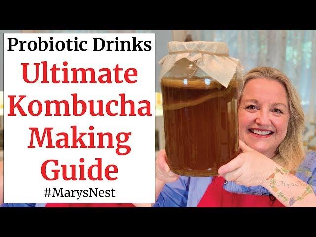 Beginners Guide to Kombucha Making | How to Make Kombucha at Home