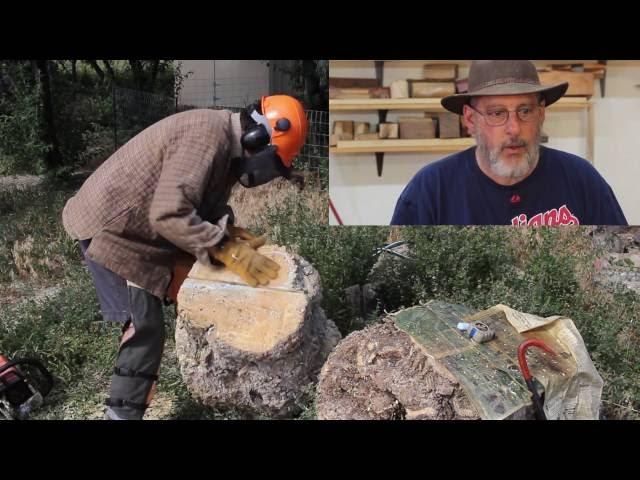 The First Cut is....Important when Milling a Burl: wyomingwoodturner