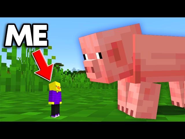 If I Die Minecraft Gets Smaller...