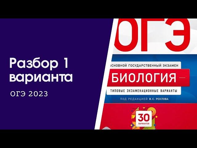 Разбор 1 варианта из сборника Рохлова ОГЭ 2023