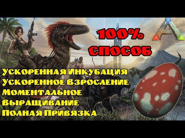 Как ускорить инкубацию, рост динозавров. Как моментально вырастить динозавра в ARK?