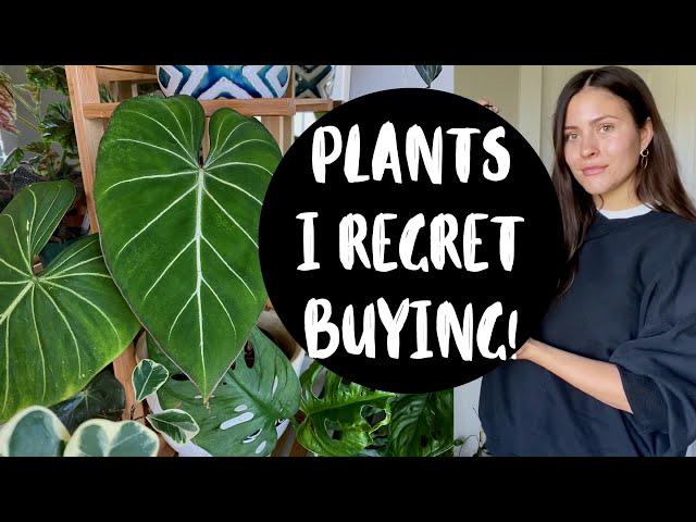 Houseplants I REGRET BUYING!