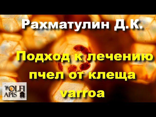 #Рахматулин Д.К. Подход к лечению пчел от клеща varroa