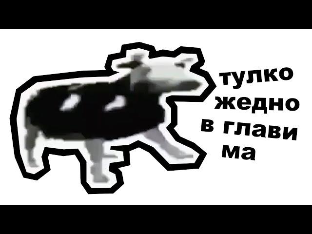 КОРОВА ТАНЦУЕТ ПОД ПОЛЬСКУЮ МУЗЫКУ — ОТКУДА МЕМ?