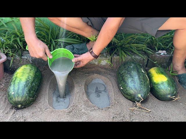 Artwork from Cement and Watermelon // Unique garden decoration ideas for you