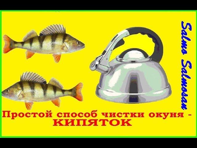 Простой способ чистки окуня - КИПЯТОК