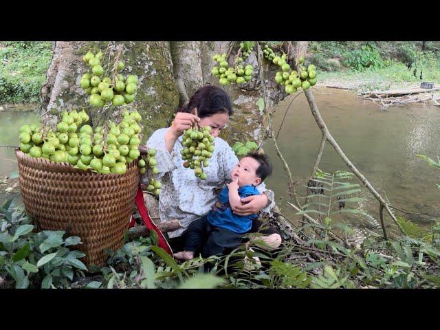 A single mother and her abandoned son wandered around picking forest fruits to sell