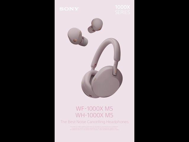 WH-1000XM5 Noise-Cancelling Headphones | Human Edition