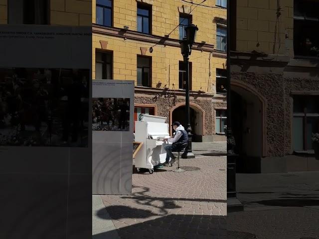 Коты Петербурга. Почему они важны для петербуржцев? #санктпетербург #кот #рек #блокада