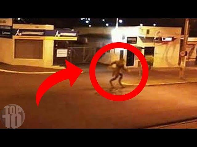 10 Werewolves Caught on Camera!