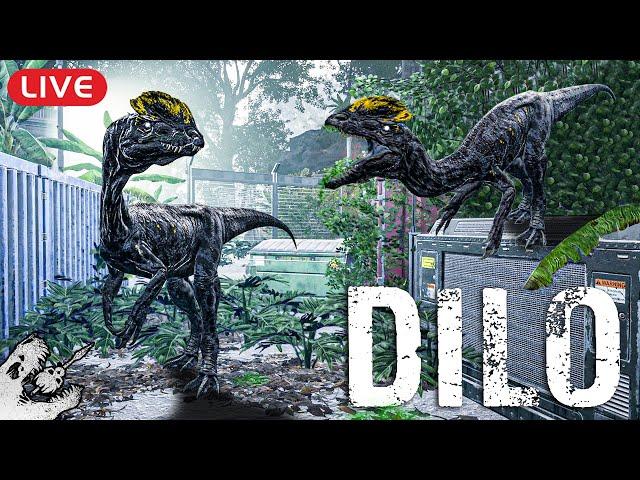  Der DILO verbreitet ANGST & SCHRECKEN!  - The Isle Livestream