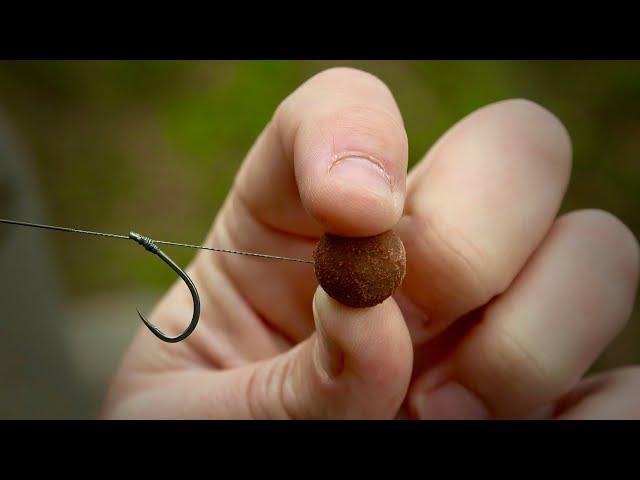 TING TONG TOP TIPS-Long Bottom Bait Rig