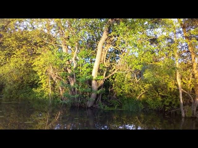 #vlog June 9, 2024, Fishing on outskirts on river up town