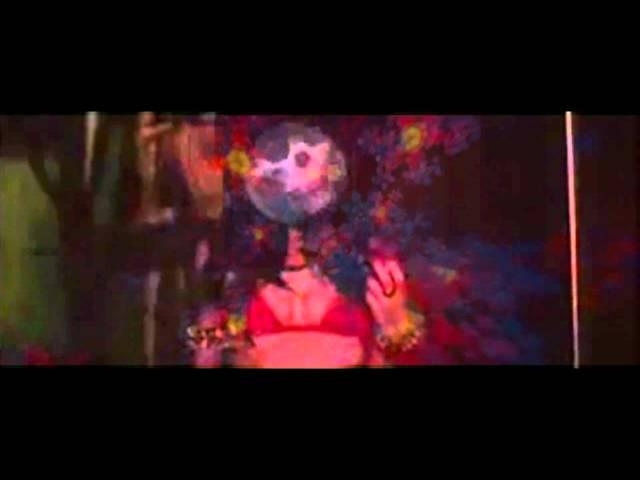 blue stork ~ conformity