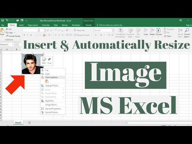 How to Insert and Automatically Resize an Image in Microsoft Excel | Adjust Image inside Excel Cell