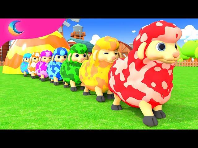 Baa Baa Black Sheep! | BluLoo Nursery Rhymes & Kids Songs