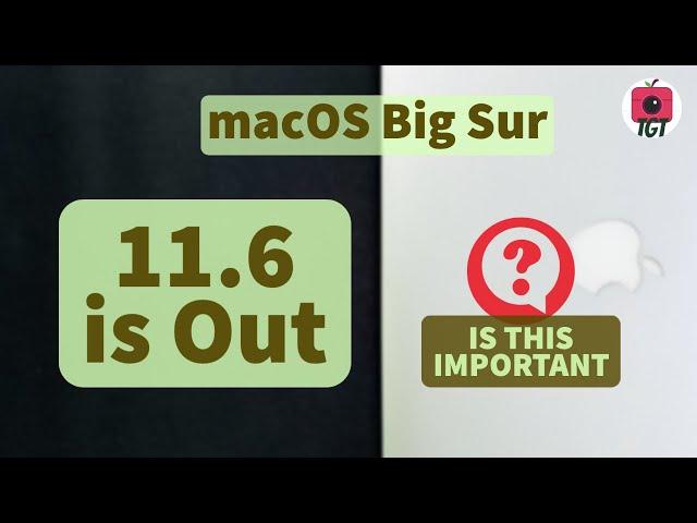 macOS Big Sur 11.6 Update Review! What's new, Performance, Battery Life | TGT