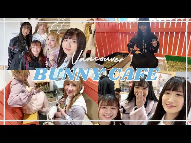 Non Sweet Vlog: Visiting the Bunny Cafe in Vancouver! | NonSweetTV